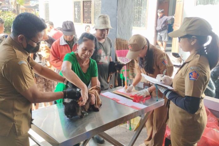 Ratusan Hewan Peliharaan Dan Liar Divaksinasi 1