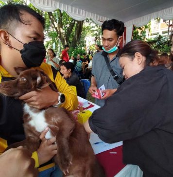Hingga 11 September 2026, Bali Catat 39.193 Kasus Gigitan Terindikasi Rabies