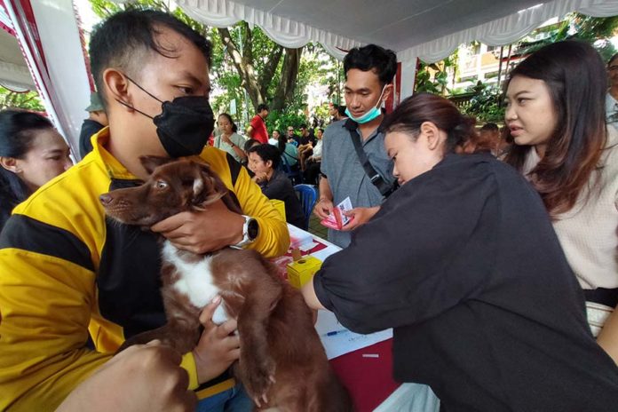 Lagi, Kasus Rabies Muncul Di Denpasar 1