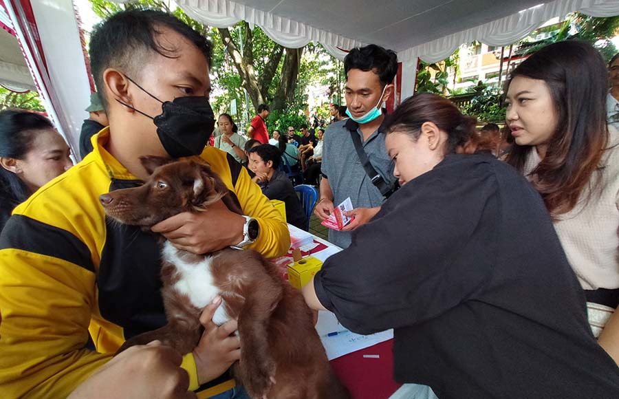Hingga 11 September 2026, Bali Catat 39.193 Kasus Gigitan Terindikasi Rabies