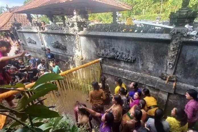 6 Fakta Unik Tradisi Megeburan Di Buleleng 1
