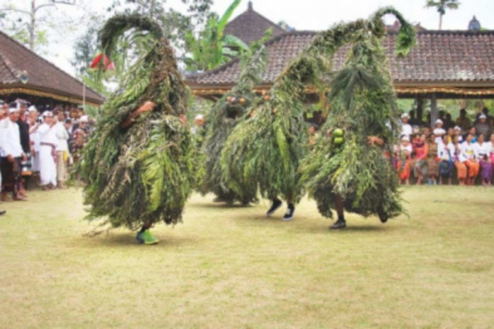 Barong Mongah, Tarian Sakral Khas Desa Bunutin 1