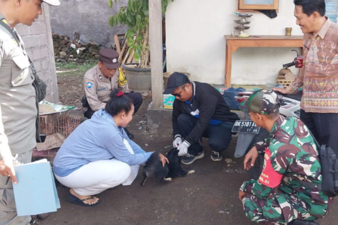 Cakupan Vaksinasi Rabies Baru 14 Persen 1