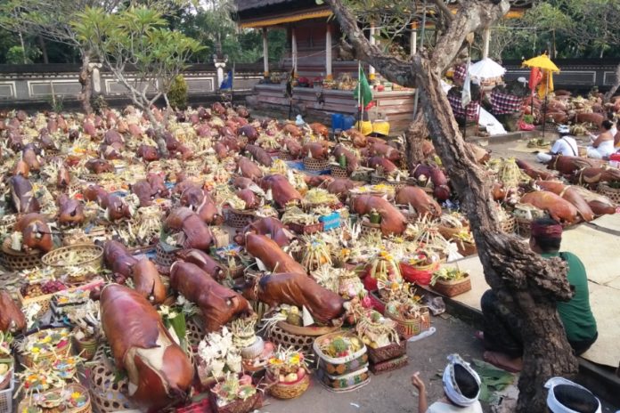 Gak Cuma Kuliner Ikonik Bali, Babi Guling Punya Sejarah Panjang Dan Filosofi Mendalam 1
