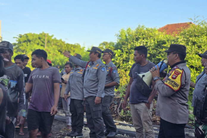 Puluhan Duktang Terjaring Di Wilayah Ungasan 1