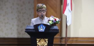 Kasus DBD di Badung Menurun, Kecamatan Ini Catat Kasus Tertinggi