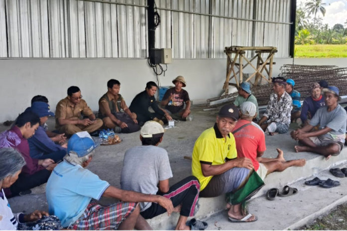 Subak Patas Desa Kenderan Terancam Gagal Panen Akibat Serangan Hama Tikus 1