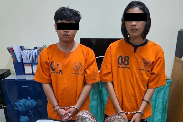 Terima Kiloan Ganja, Jaringan Sumut Bali Ditangkap Di Buleleng 1
