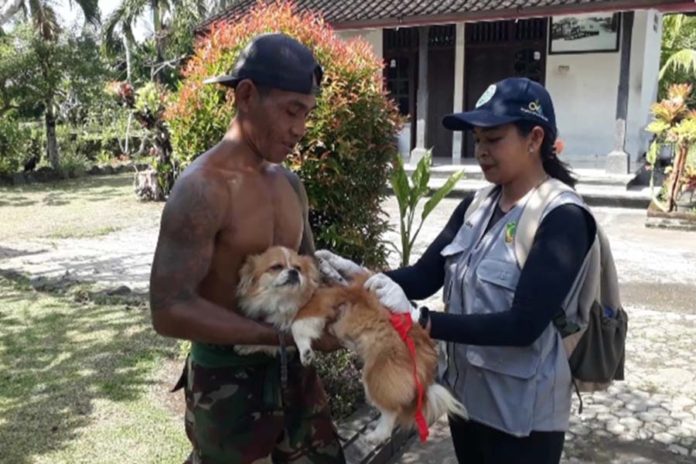 Zona Merah Rabies, Desa Tegal Badeng Barat Siapkan Perdes 1