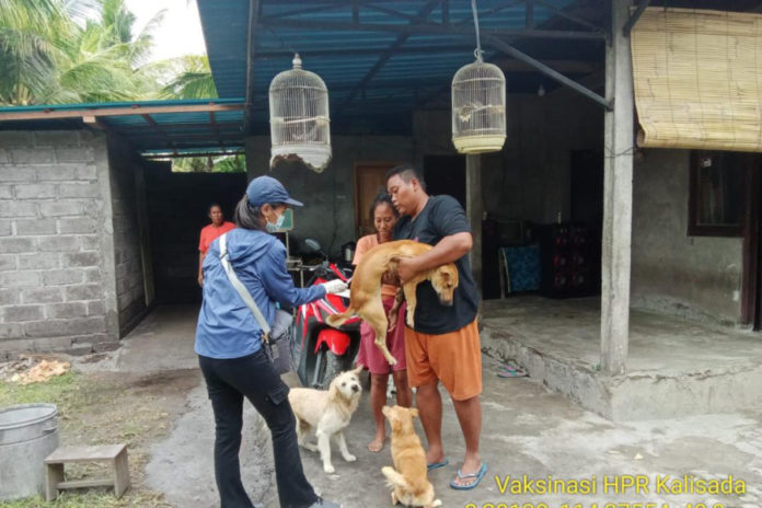 Anjing Rabies Gigit 8 Warga Di Desa Kalisada 1
