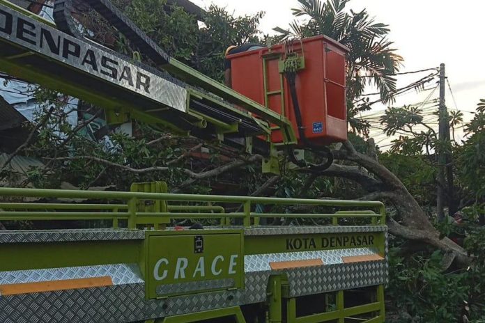 Antisipasi Cuaca Ekstrem, DLHK Lakukan Perompesan Pohon 1