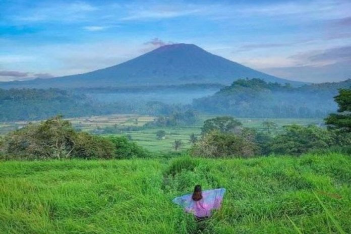 Bukit Cinta Pangi Di Desa Gelumpang, Destinasi Padang Ilalang Di Bali Timur 1