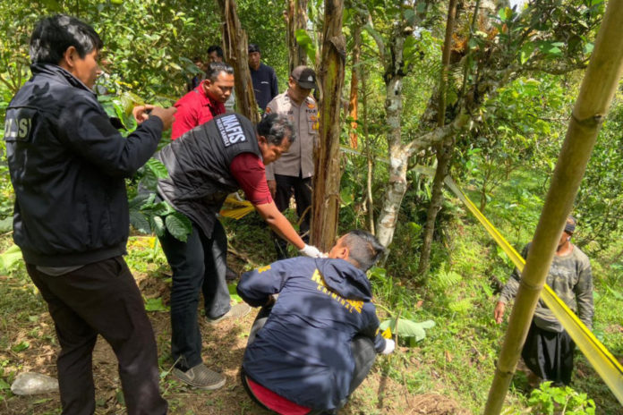 Diduga Diseruduk Sapi Liar, Petani Di Selulung Meninggal 1