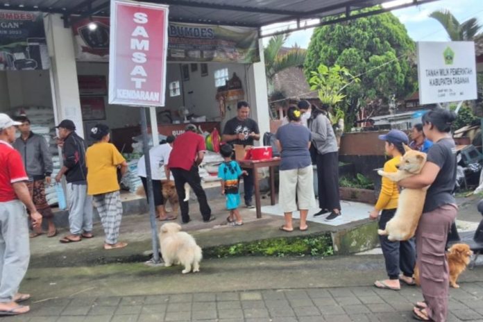 Enam Desa Di Tabanan Masih Kategori Zona Merah Rabies 1