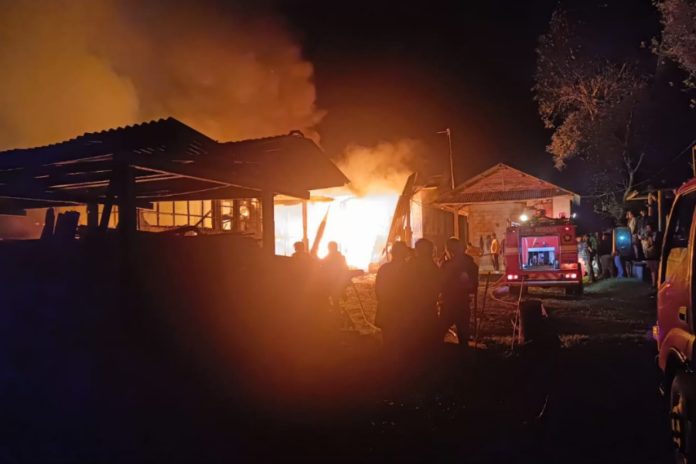 Kandang Di Susut Terbakar, Puluhan Ribu Bibit Ayam Mati 1