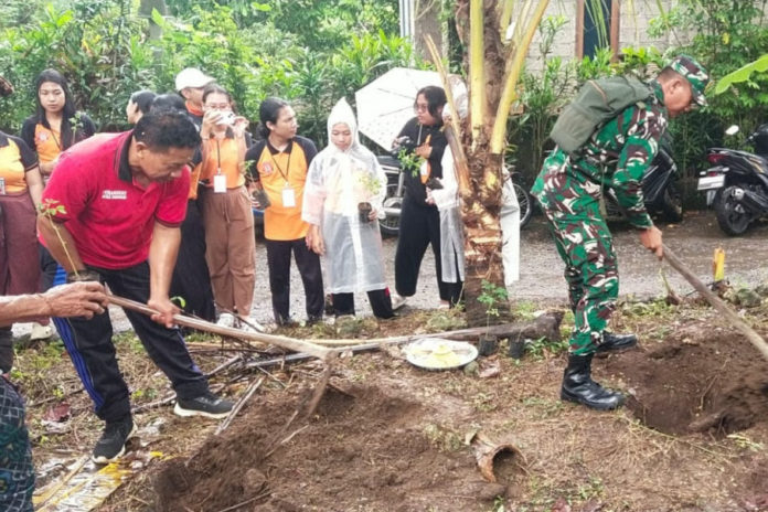 Kelor Jadi Ikon Ketahanan Pangan Dan Ekonomi Warga Buahan 1