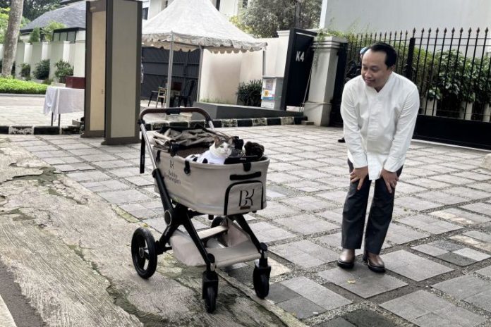 Pakai Koko Putih, Gaya Bobby Kertanegara Ikut Meriahkan Idul Adha 1