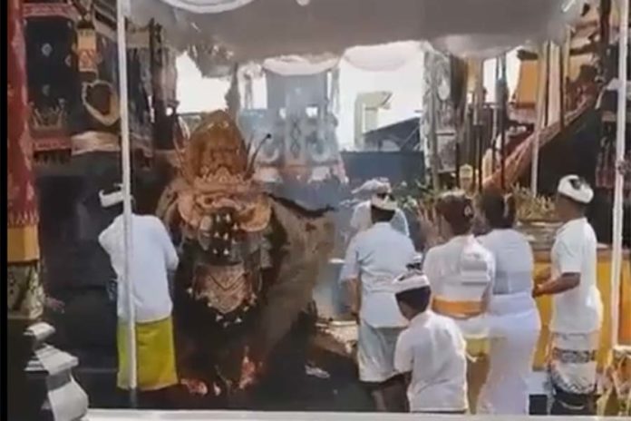 Pelawatan Barong Terbakar Viral Di Medsos, Ini Diduga Penyebabnya 1