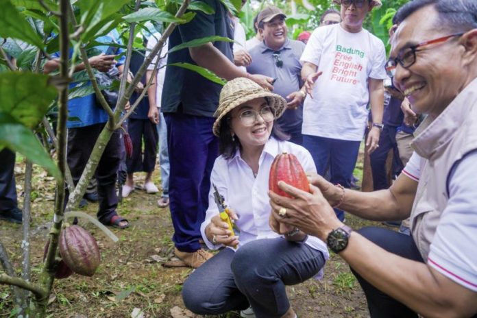 Pemkab Badung Bangkitkan Kembali Sentra Kakao 1