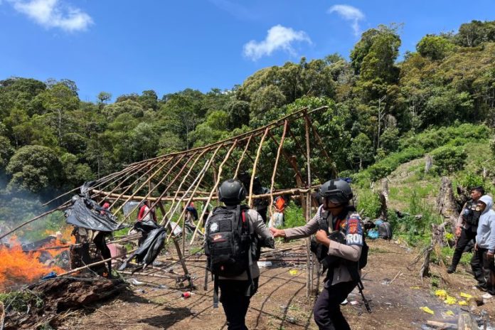 Polri Bongkar 25 Hektare Ladang Ganja Di Aceh 1