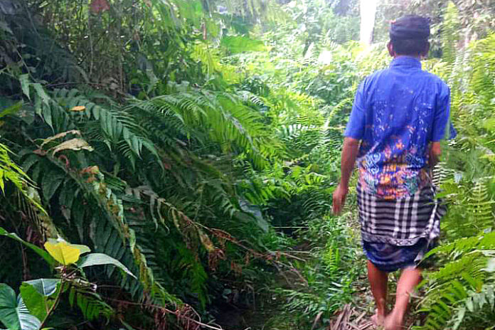 Puluhan Hektar Kekeringan, Masyarakat Tunggu Bantuan BPBD 1