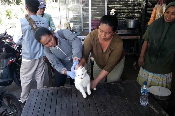 Puluhan HPR Divaksin Rabies | BALIPOST.com