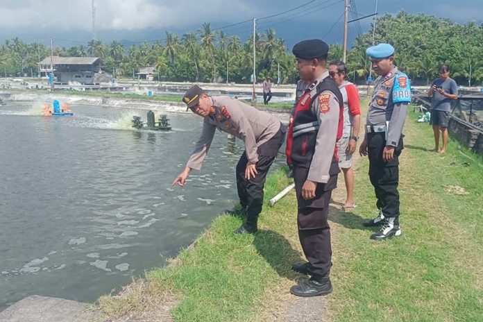 Tenggelam Di Tambak Udang, Bocah 9 Tahun Ditemukan Meninggal Di Dasar Kolam 1