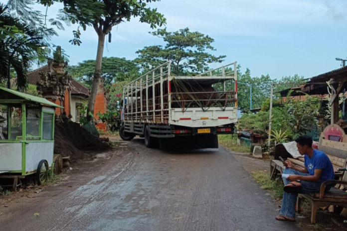 Truk Angkut Ternak Ke Kandang Karantina Dikeluhkan Warga Gilimanuk 1