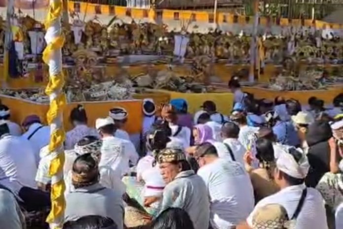 Desa Adat Tarukan Gelar 'Atiwa Tiwa' Massal Libatkan 73 Sawa 1