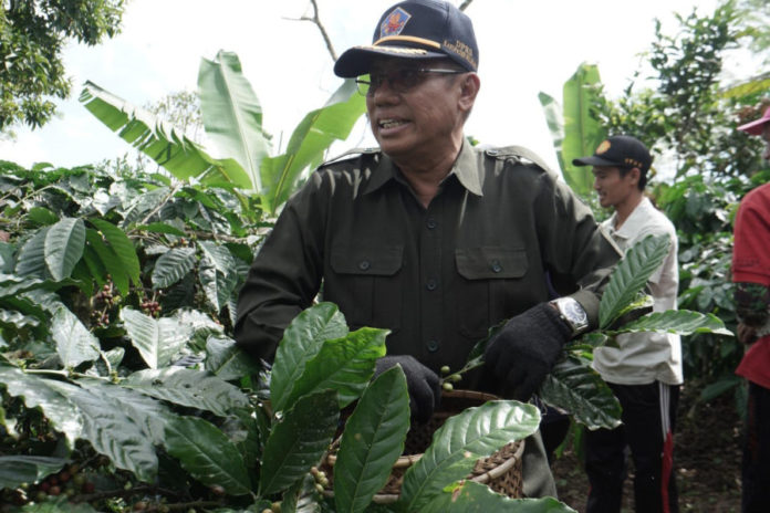 Dorong PAD Lewat Kopi Lokal, DPRD Buleleng Minta Perumda Swatantra Kembangkan Industri Hilir 1
