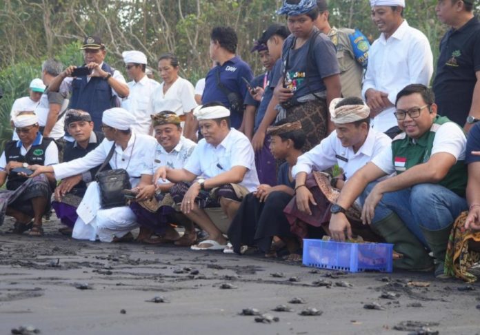 Dukung Upaya Pelestarian Penyu, Bupati Kembang Apresiasi Program TJSL PT PLN Persero 1