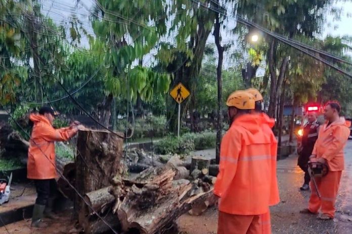 Hujan Seharian, Jembrana Dilanda Banjir Hingga Longsor 1