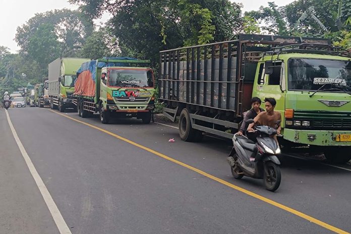 Jalur Denpasar Gilimanuk Lumpuh, Pengusaha Rugi Ratusan Miliar Rupiah 1