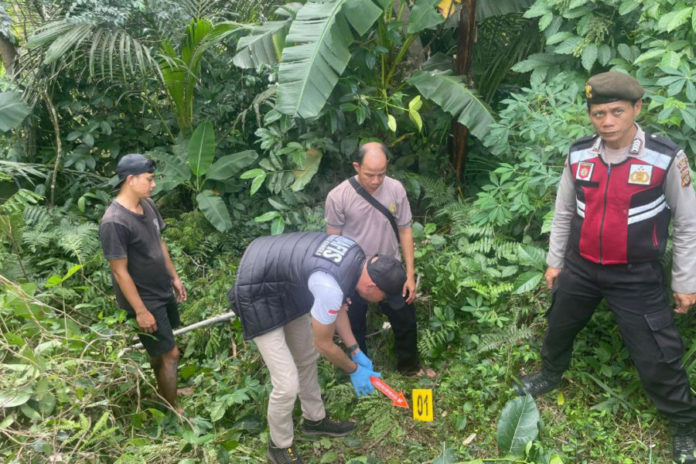 Jatuh Dari Pohon Setinggi 20 Meter, Warga Bunutin Meninggal 1