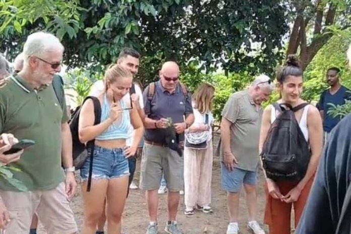Kebun Tanaman Herbal Di Desa Guwang Jadi Daya Tarik Wisman 1