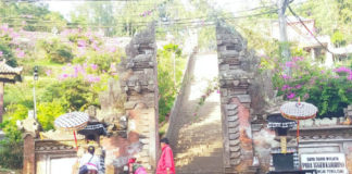 Rawan Pohon Tumbang, Desa Sukawana Butuh Bantuan Gergaji Mesin