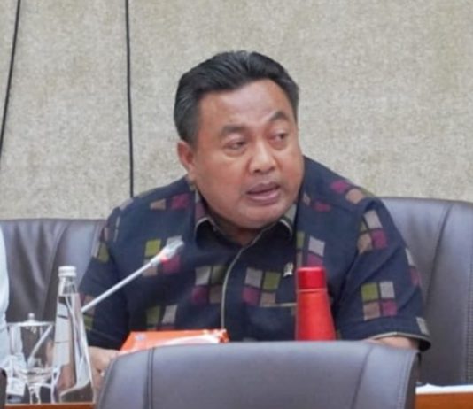 Kawal Penegakan Hukum, Nyoman Parta Dipindahkan ke Komisi III DPR RI