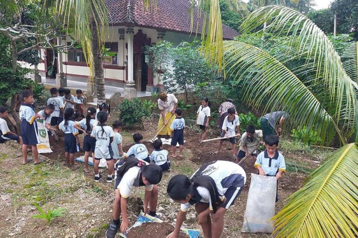 Puluhan SD Krisis Siswa Di Klungkung 1