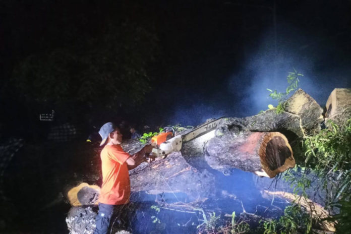 Tiga Motor Hanyut Akibat Banjir Dan Pohon Tumbang Tutup Akses Jalan 1
