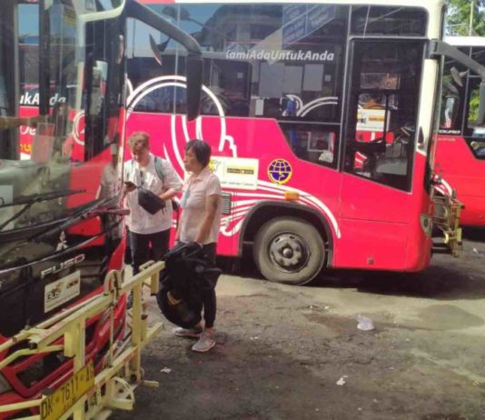 Jumlah Penumpang Trans Metro Dewata pada 2025 Capai 1,2 Jutaan Orang, Tahun Ini Tetap Beroperasi