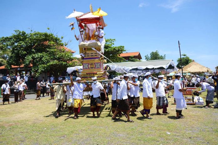 Hama Tikus Merajalela Di Badung, Pemkab Tempuh Upaya Sekala Niskala 1