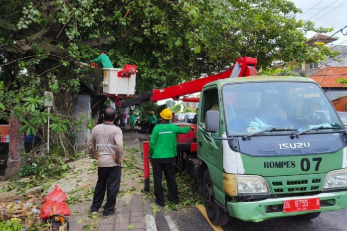 Hari Baik Menebang Pohon, Berikut Ala Ayuning Dewasa 31 Agustus 2025 2