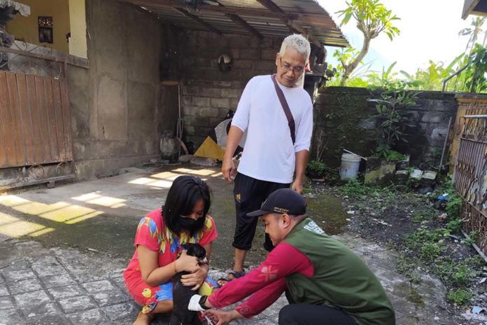 Hingga Agustus, Segini Jumlah Gigitan Anjing Rabies Di Karangasem 1