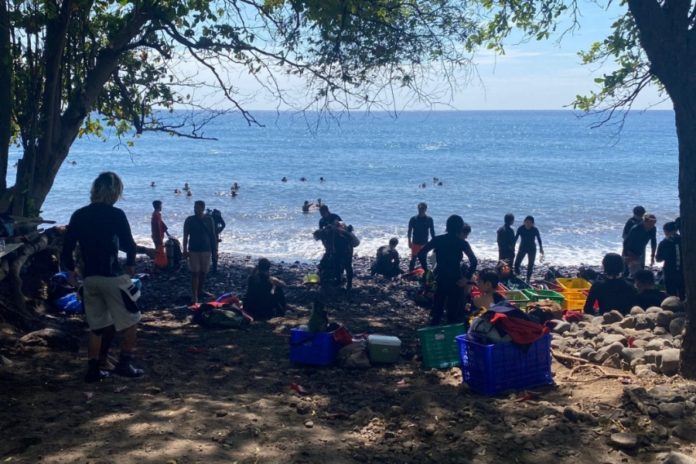Meningkat, Wisatawan Diving Snorkeling Ke Tulamben 1