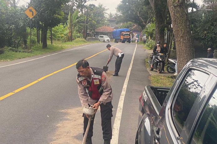 Solar Tercecer 50 Meter Di Jalur Denpasar–Gilimanuk, Polsek Pekutatan Lakukan Ini 1