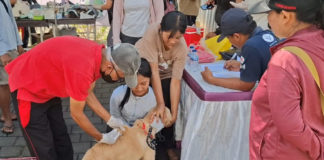 Dinas PKP Susun Ranperda HPR, Kedepankan Prinsip Kesejahteraan Hewan