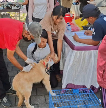 Dinas PKP Susun Ranperda HPR, Kedepankan Prinsip Kesejahteraan Hewan