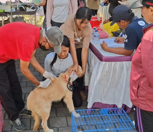 Dinas PKP Susun Ranperda HPR, Kedepankan Prinsip Kesejahteraan Hewan