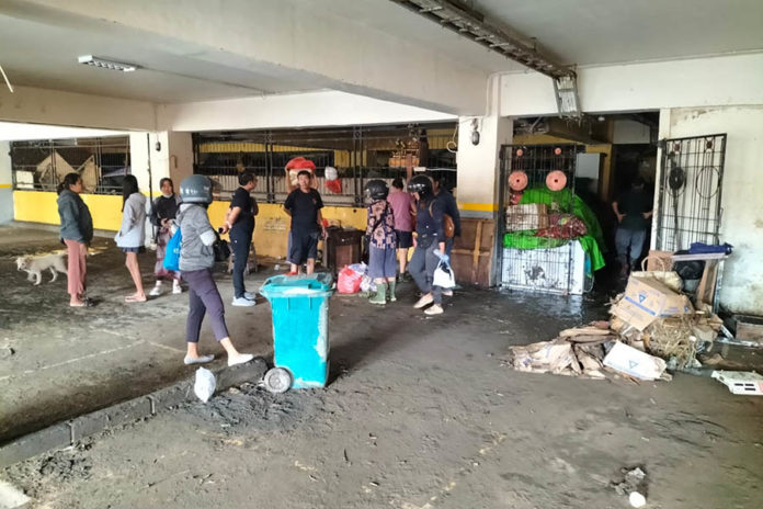 Banjir Datang Tiba Tiba, Pedagang Pasar Kumbasari Akui Kerugian Capai Ratusan Juta 1