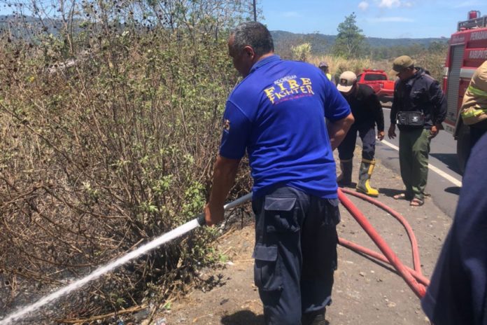 Belasan Hektare Lahan Hutan Di Kintamani Terbakar 1